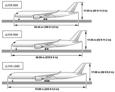 Evaluating personnel evacuation risks under fire scenario of Airbus wide-body aircraft: A simulation study